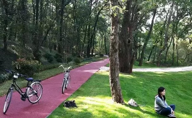 【Asia Bike 2015】南京最美的骑行路线、好玩地点都在这里了，十月南京约起来！