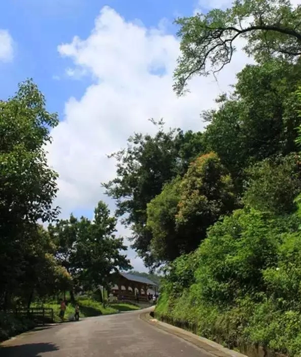 【Asia Bike 2015】南京最美的骑行路线、好玩地点都在这里了，十月南京约起来！