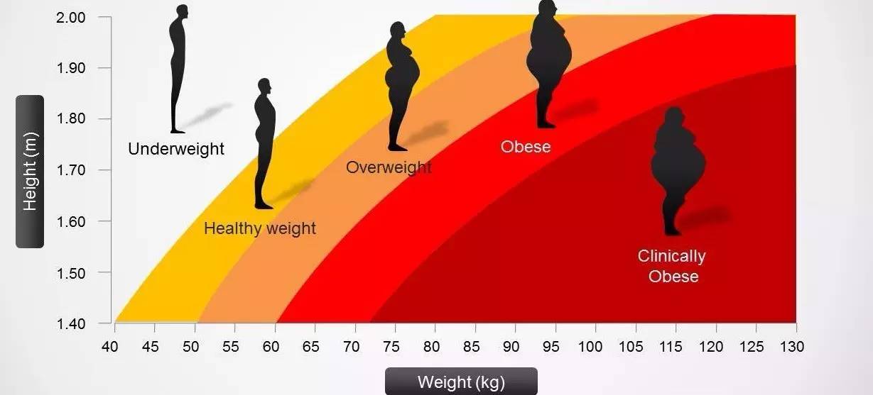 重新定义你的身体 避免11个错误饮食观念