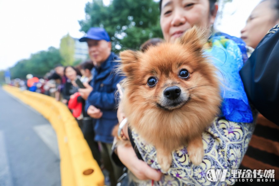 环太湖｜第二赛段 雨中冲刺 雅各布连胜揽三衫