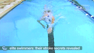不要“瞎”游 ，游泳更有效率记得计算划水数