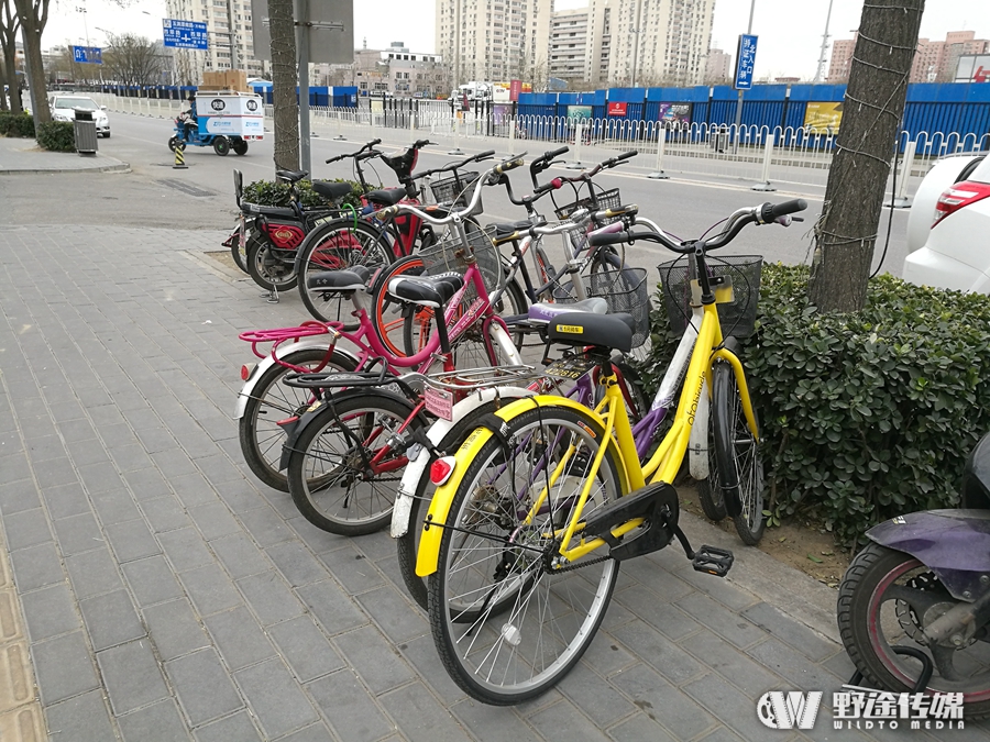 野途传媒北京实地体验共享单车 摩拜与ofo孰优孰劣
