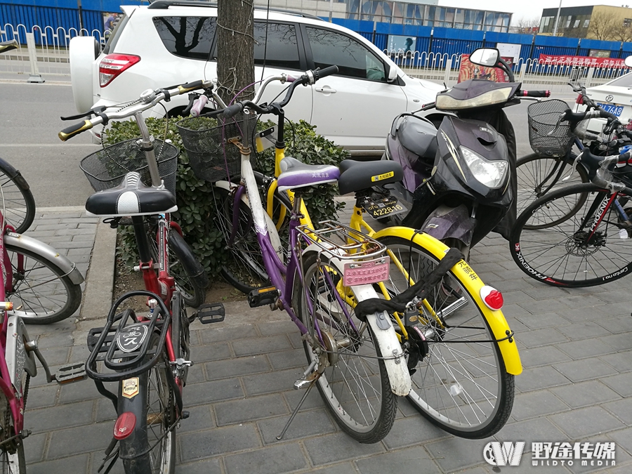 野途传媒北京实地体验共享单车 摩拜与ofo孰优孰劣