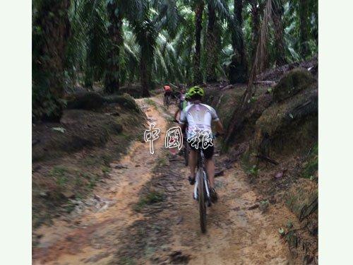 大马华裔参与自行车运动 上坡途中气喘送院不治