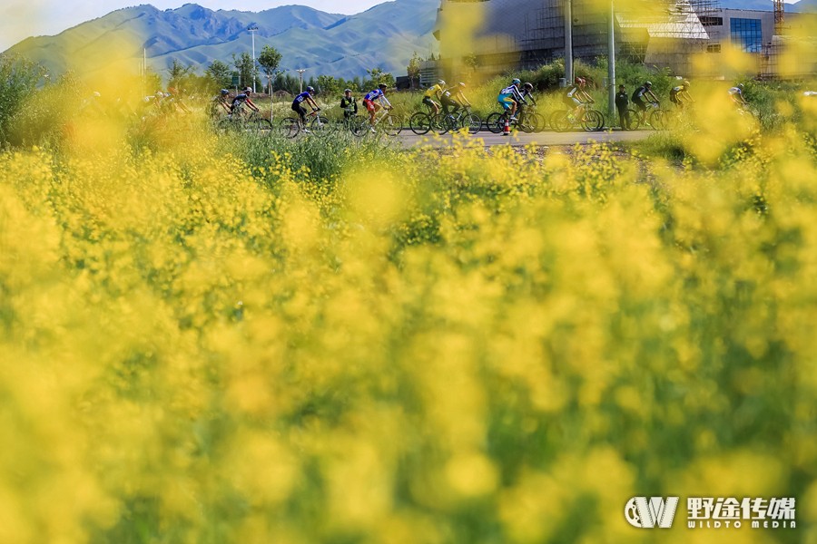 �½�����������һ���� ������˹̹���ֶ�����Ӿ�Ӣ��