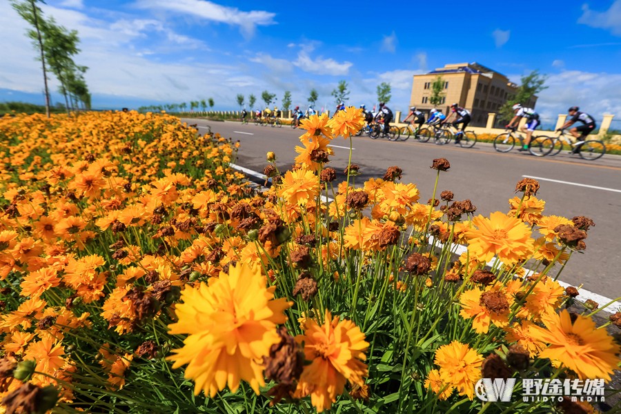 �½�����������һ���� ������˹̹���ֶ�����Ӿ�Ӣ��