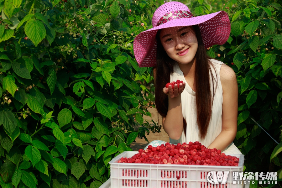 赛事预告｜ 体彩·环中原自行车公开赛新乡站 走进长寿封丘