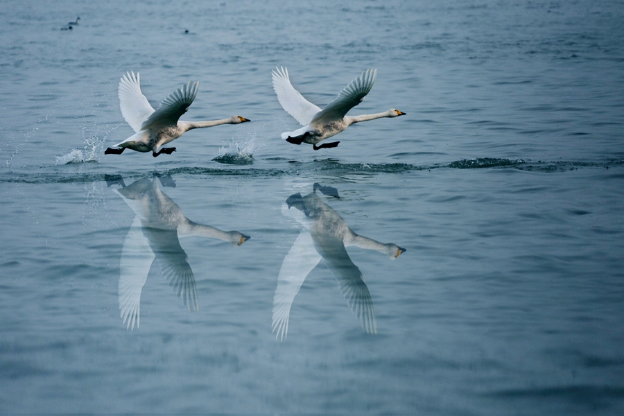 赛事预告｜ 体彩·环中原自行车公开赛新乡站 走进长寿封丘