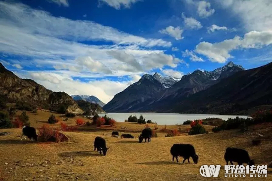 赛事预告｜传奇昌都 然乌·来古风光自行车赛