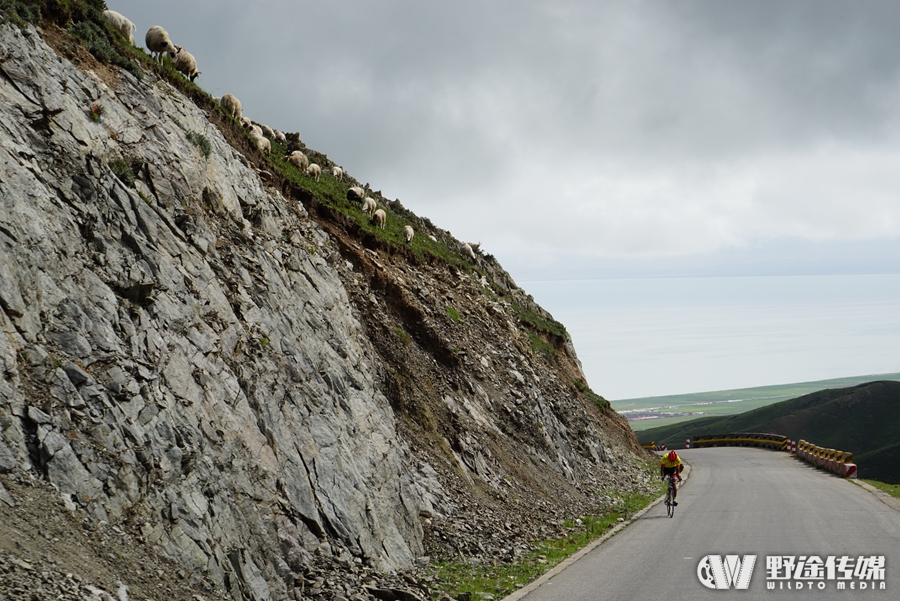 ������ѧ����·��˳����Ļ ��ɫ������ѡ�ֽ���