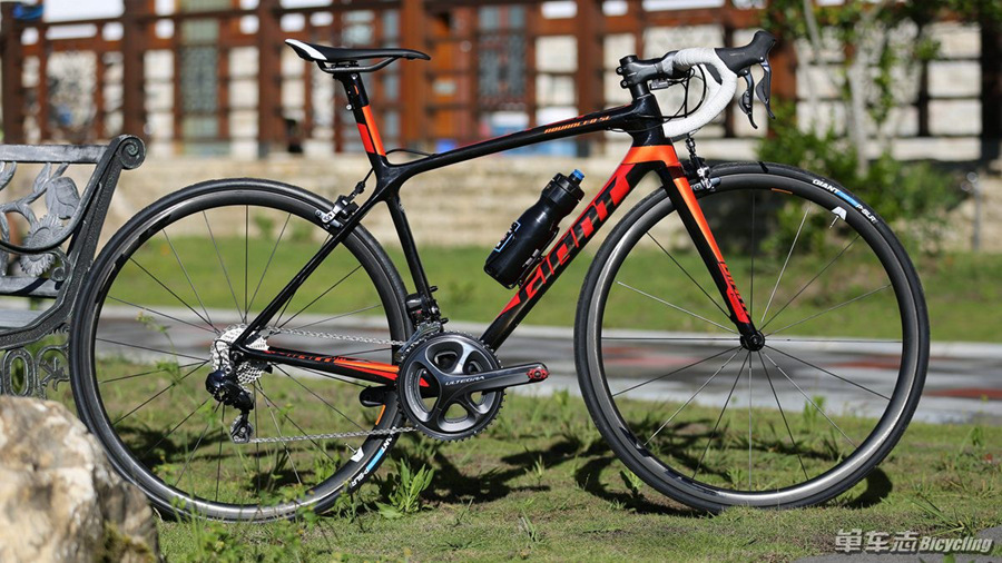 Giant TCR系列全新发布│新品