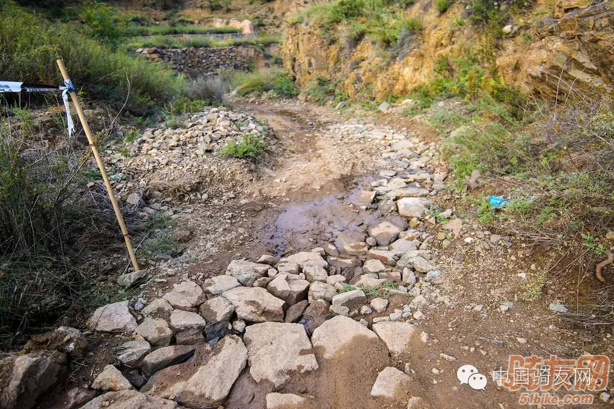 赛事前瞻--2016中国山地自行车公开赛亮马台站