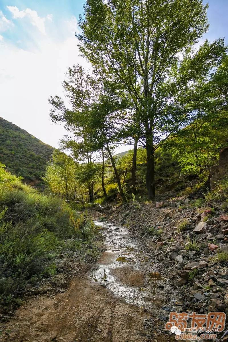 赛事前瞻--2016中国山地自行车公开赛亮马台站