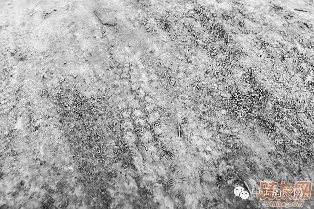 赛事前瞻--2016中国山地自行车公开赛亮马台站