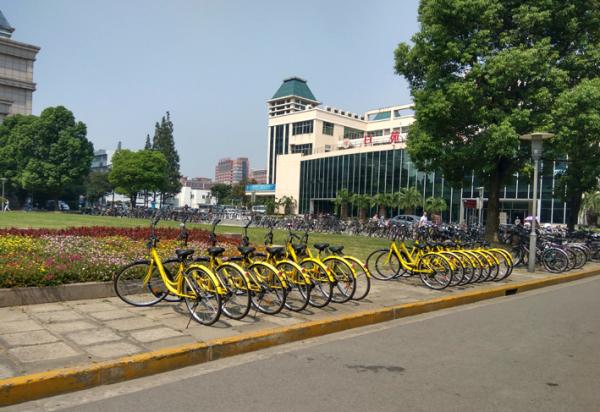 共享“小黄车”会“黄”吗？上海有高校超半数损坏