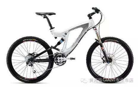 教你如何辨识山寨自行车