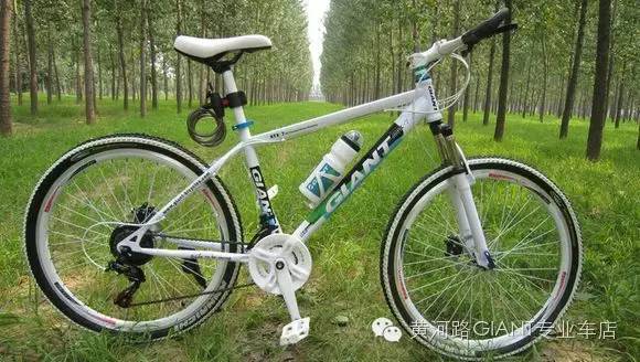 教你如何辨识山寨自行车