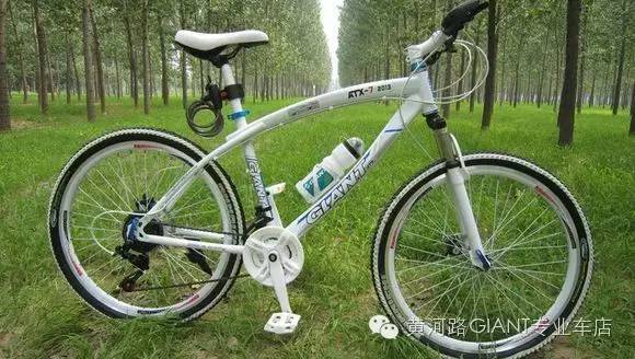 教你如何辨识山寨自行车