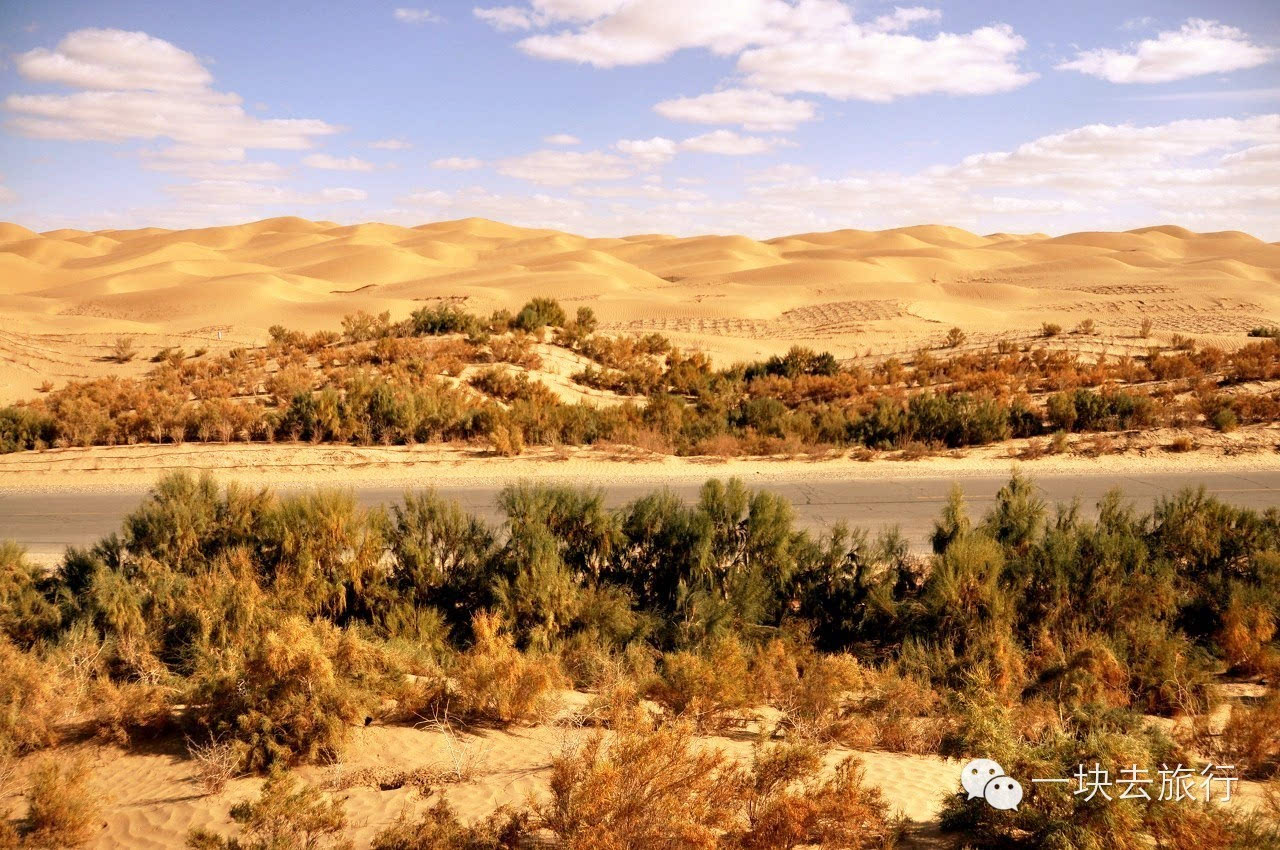 新疆这七条公路线 美过318川藏线！