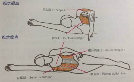 国内顶尖铁三运动员游泳实操教学：自由泳划水如何才能高效