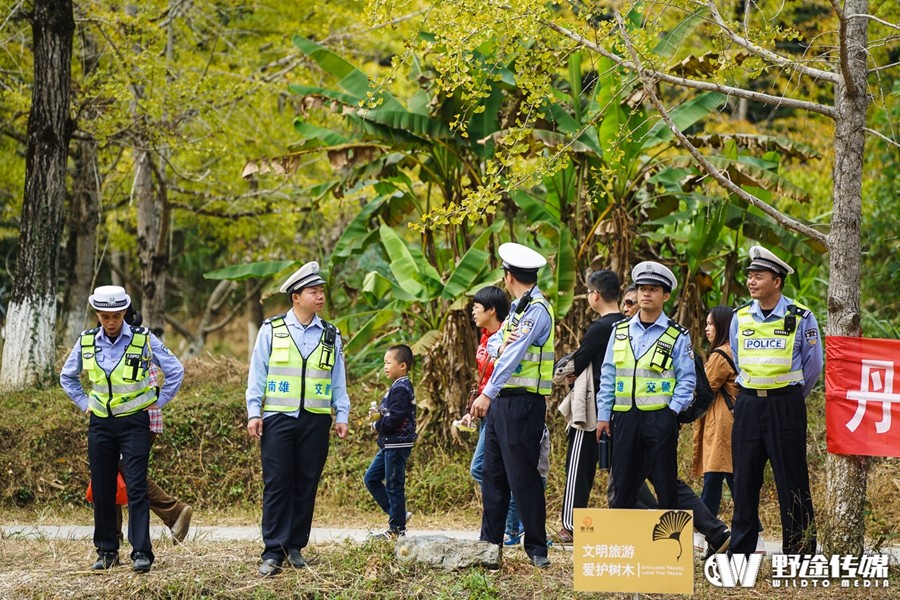 秋染南雄 帽子峰头 山地越野挑战赛炫酷开战！