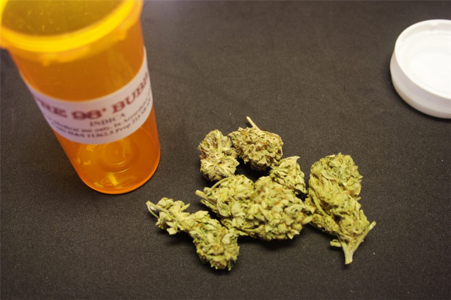 大麻可以运用在自行车运动吗？
