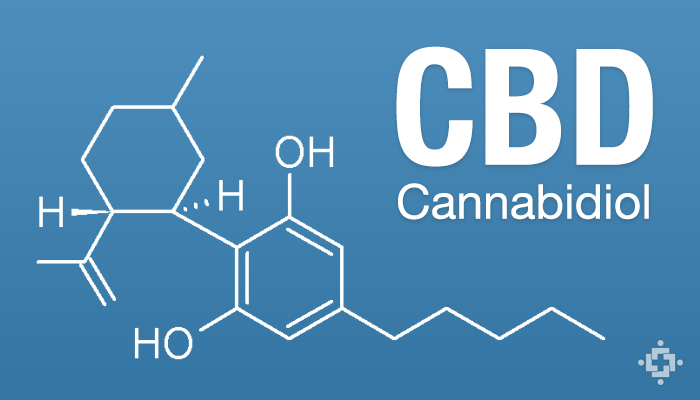大麻可以运用在自行车运动吗？