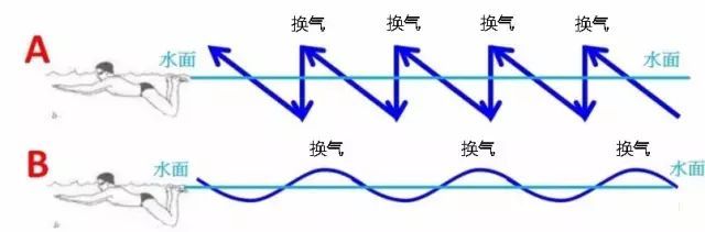 为什么专业教练都不建议铁三游蛙泳？