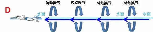 为什么专业教练都不建议铁三游蛙泳？