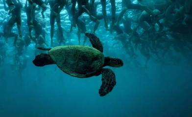 2018年IRONMAN大铁赛程公布 报名即有机会获得Kona资格