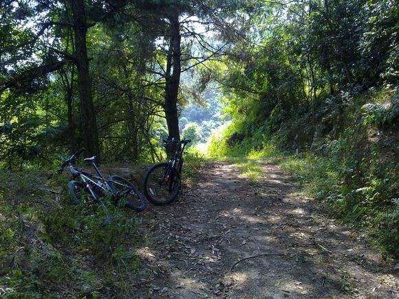 新手入門(mén)｜山地車(chē)騎行小技巧
