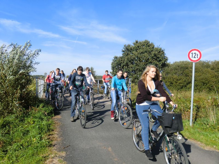 春季踏青骑自行车更健康  五点好处报你知