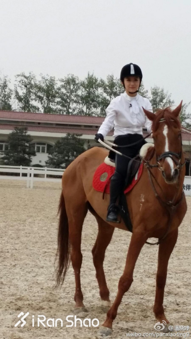 九球天后潘晓婷：全能跨界女王  跑马也不在话下
