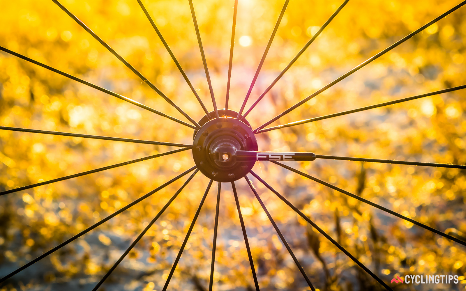 你所不知物美价廉的FSE EVO 35C轮组