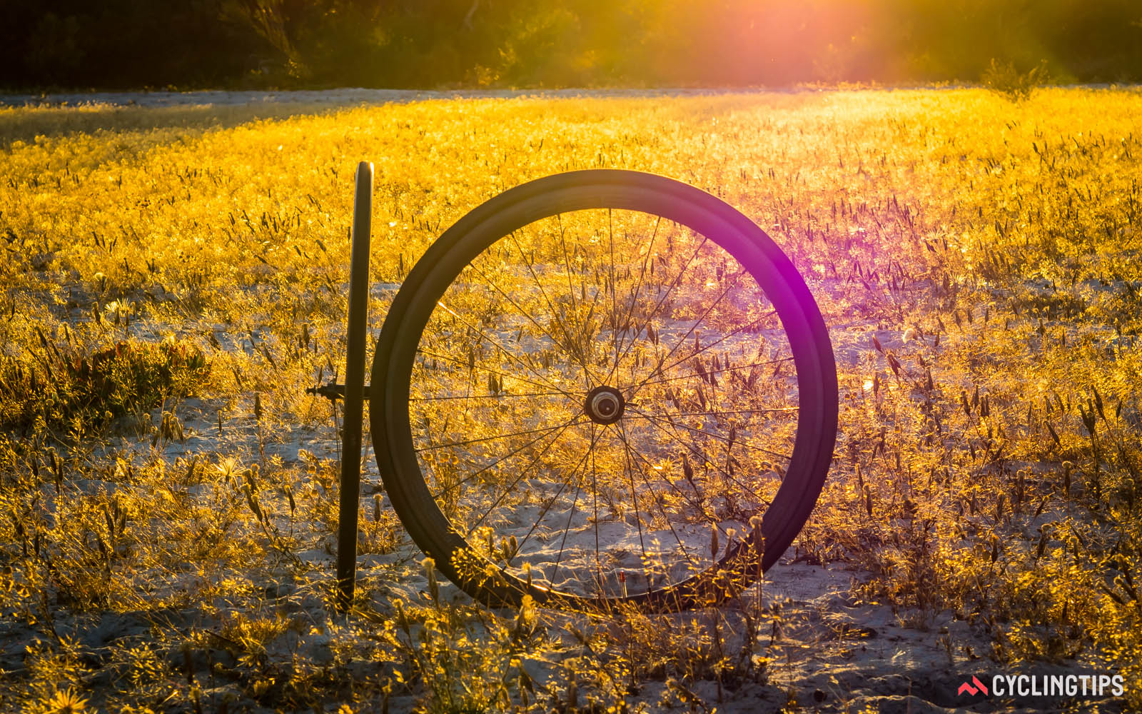 你所不知物美价廉的FSE EVO 35C轮组