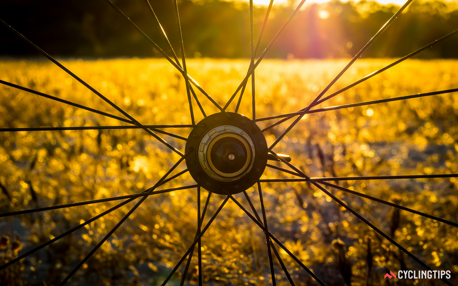 你所不知物美价廉的FSE EVO 35C轮组