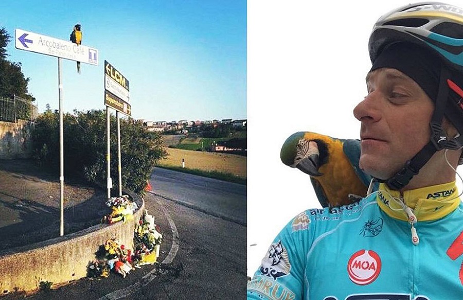 照片回顾斯卡伯尼的职业生涯