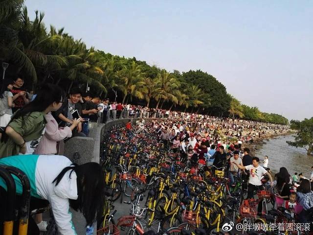 深圳湾被“攻陷”了，4月4日共享单车禁止进入园内！