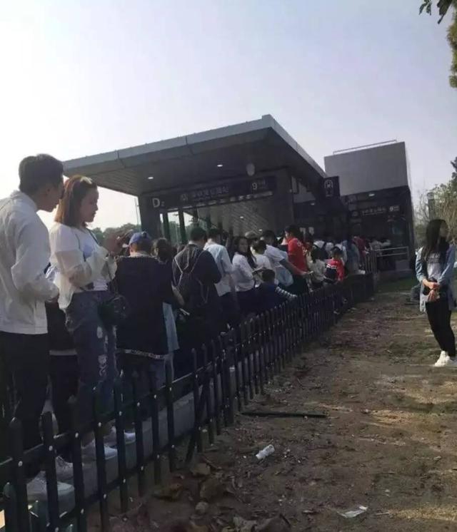 深圳湾被“攻陷”了，4月4日共享单车禁止进入园内！