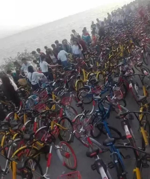 深圳湾被“攻陷”了，4月4日共享单车禁止进入园内！
