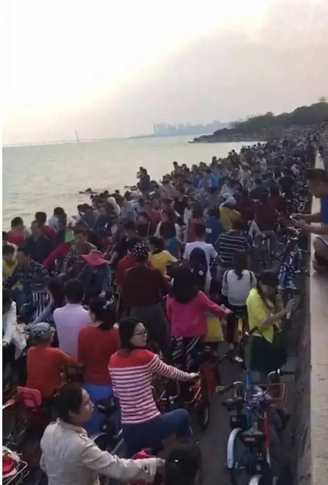 深圳湾被“攻陷”了，4月4日共享单车禁止进入园内！