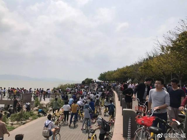 深圳湾被“攻陷”了，4月4日共享单车禁止进入园内！