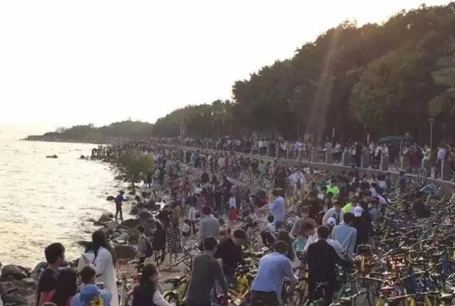 深圳湾被“攻陷”了，4月4日共享单车禁止进入园内！