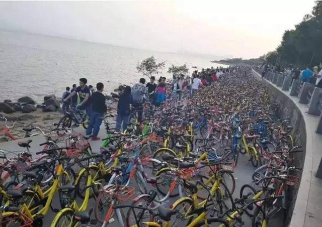 深圳湾被“攻陷”了，4月4日共享单车禁止进入园内！