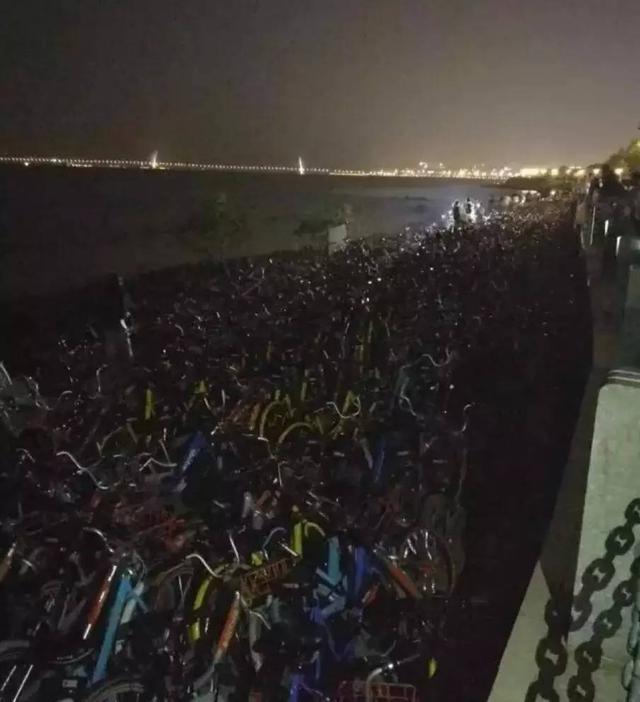 深圳湾被“攻陷”了，4月4日共享单车禁止进入园内！