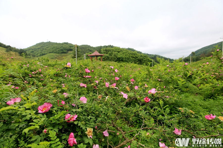 山地公开赛龙里站首日 十个全国山地锦标赛名额诞生