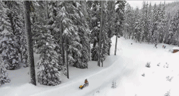 哪需要儿童座椅 来辆缩小版黄包车更浪漫