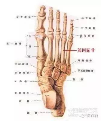 必读，自行车尺寸导致的5种运动损伤！