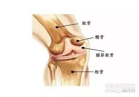 必读，自行车尺寸导致的5种运动损伤！