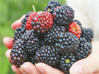 赛事预告｜ 环中原新乡站：七夕，在爱情圣地来场情侣接力